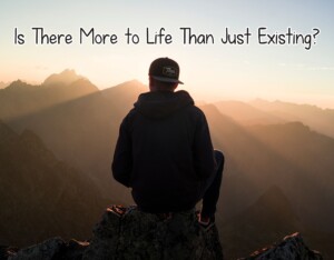 Is There More to Life Than Just Existing?