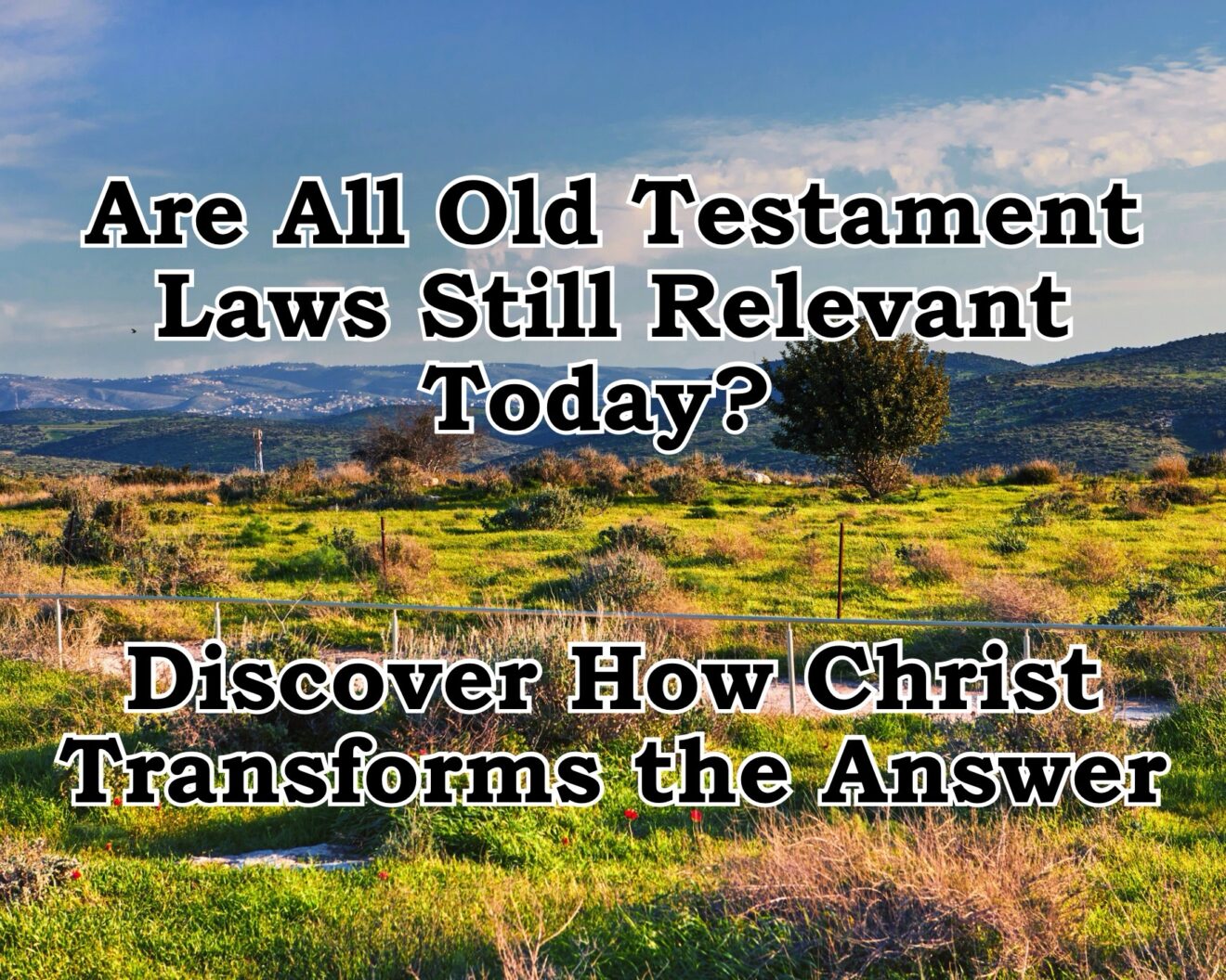 Understanding Old Testament Laws: Civil, Ceremonial, And Moral - Plans ...