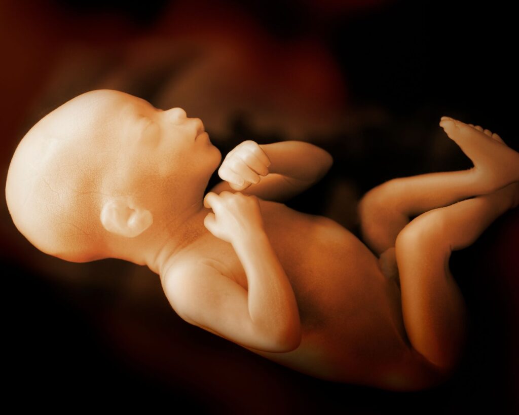 What Does Jesus Think? What The Bible Says About Abortion