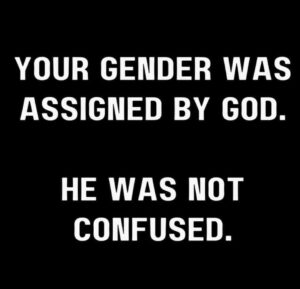 Did God Assign Gender? Exploring Biblical Truths