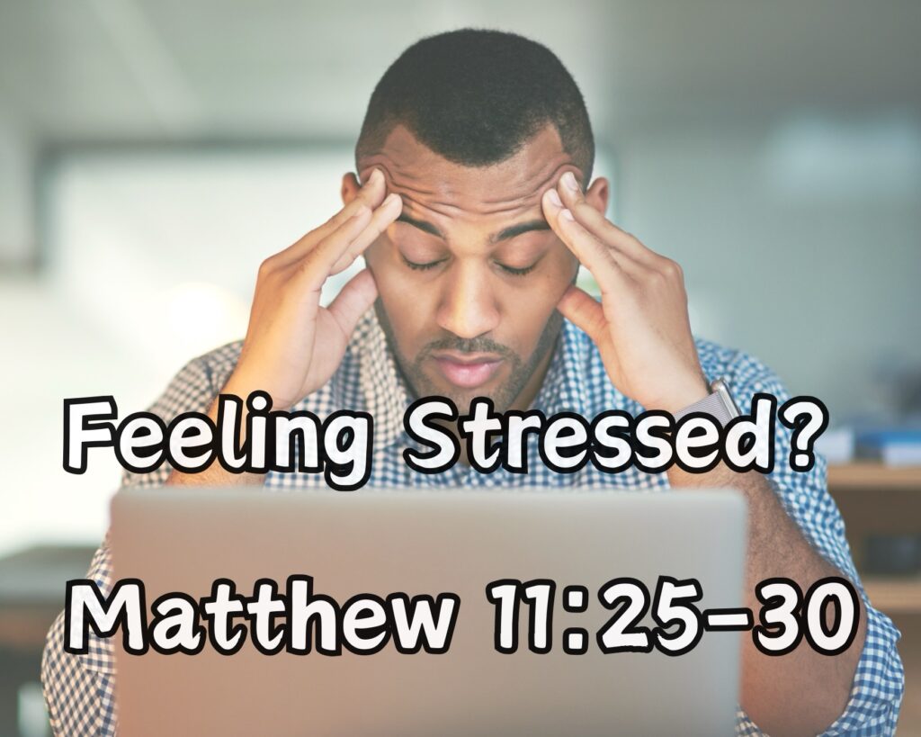Feeling Stressed? Find Peace in Matthew 11:25-30